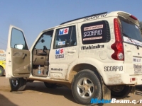 thumbs Scorpio Desert Storm (11) photo